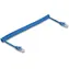 DeLock RJ45 Spiralkabel blau / Netzwerkkabel / Cat6 U/UTP / 1 Gbit/s / 1,3-3,3 m