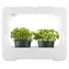 Xavax Growstation / Growstation / Vollspektrum-LED-Lampe / 3 × 10 cm / 16-h/8-h-Zyklus