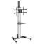 StarTech TV-Ständer für 32- bis 75-Zoll-Bildschirme / Mobiler TV-Ständer / Tragkraft 40 kg / VESA bis zu 600 x 400 / Neigung -12° bis 5°