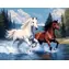 Norimpex Diamantmalerei: Galoppierende Pferde im Fluss / 30x40 cm