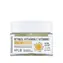 APLB Retinol Vitamin C Vitamin E Gesichtscreme Tagescreme 55 ml