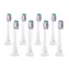 TrueLife SonicBrush Clean-Serie Bürstenköpfe Sensitiv Weiß 8er-Pack / Ersatzbürstenköpfe 8 Stück