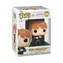 Funko POP HP: HP Jubiläum - Ron in der Teufelsschlinge / ab 3 Jahren