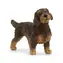 Schleich Tier Rauhaardackel / ab 3 Jahren