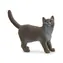 Schleich Haustier - Britisch Kurzhaar Katze / ab 3 Jahren