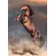 Clementoni 35595 Puzzle Wilder roter Hengst, 500 Teile / ab 10 Jahren