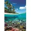 Clementoni 39931 Puzzle Sommerparadies, 1000 Teile