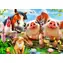BlueBird Puzzle Niedliche Haustiere / 500 Teile / ab 9 Jahren