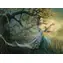 COBBLE HILL Puzzle Ecstasy / 1000 Teile / ab 14 Jahren