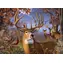 COBBLE HILL Puzzle Hirsche und Fasane / 500 Teile / ab 12 Jahren