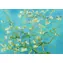 ENJOY Puzzle Vincent Van Gogh: Mandelzweig / 1000 Teile / ab 14 Jahren