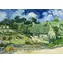 ENJOY Puzzle Vincent Van Gogh: Reetgedeckte Häuser in Cordeville / 1000 Teile / ab 14 Jahren
