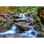 ENJOY Puzzle Waldfluss im Herbst / 1000 Teile / ab 14 Jahren