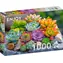 ENJOY Puzzle Sukkulenten / 1000 Teile / ab 14 Jahren
