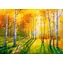 ENJOY Puzzle Birch Grove / 1000 Teile / ab 14 Jahren