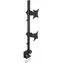 Techly Doppelarm für LED|LCD 13"-27" 2x10kg / Klemme / für Tisch / höhenverstellbar / VESA / schwarz