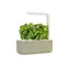 Click And Grow SMART Garden 3 beige / Smarter Blumentopf / automatische Bewässerung / 3x Wachstumskapseln (Basilikum)