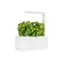 Click And Grow SMART Garden 3 weiß / Smarter Blumentopf / automatische Bewässerung / 3x Anzuchtkapseln (Basilikum)