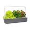 Click And Grow SMART Garden 9 grau / Smarter Blumentopf / automatische Bewässerung / 3x Tomaten / 3x Basilikum / 3x Salat