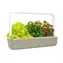 Click And Grow SMART Garden 9 beige / Smarter Blumentopf / automatische Bewässerung / 3x Tomaten / 3x Basilikum / 3x Salat
