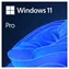 Microsoft Windows 11 Pro CZ 64-Bit (OEM) / Betriebssystem / DVD für 64-Bit / Tschechisch / für 1 PC nicht übertragbar