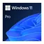 Microsoft Windows 11 Pro EN 64-Bit (OEM) / Betriebssystem / DVD für 64-Bit / Englisch / für 1 PC nicht übertragbar