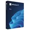 Microsoft Windows 11 Pro CZ 64-Bit (FPP) / Betriebssystem / USB-Disk für 64-Bit / Tschechisch / für 1 tragbaren PC