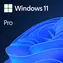 Windows 11 Pro / elektronische Lizenz / Tschechisch / für 1 PC, nicht übertragbar - nur beim Kauf eines neuen PCs erhältlich