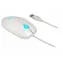 DeLock 12537 weiß / Optische Maus / 1200dpi / 3 Tasten + Scrollrad / USB