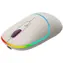 Canyon CNS-CMSW22RC beige / optische Funkmaus / 800/1200/1600 dpi / 4 Tasten / USB 2.0 / 2,4GHz / 650mAh