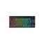 Razer BlackWidow V4 Low-Profile Tenkeyless HyperSpeed Orange Switch, schwarz / kabellos. Gaming-Tastatur / mechanisch / US-Tasten