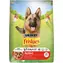 PURINA Friskies Active 10 kg / Granulat / für Hunde