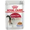 Royal Canin FHN Instinctive in Gelee Adult 12 x 85 g / Beutel für Katzen