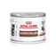 Royal Canin Gastrointestinal Kitten 195 g / Dose für Katzen
