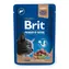Brit Premium Cat Pouches Leber für sterilisierte 100 g / Beutel für Katzen
