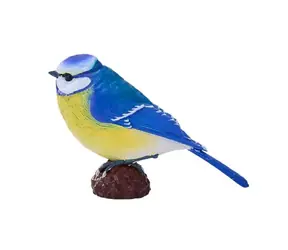 Mojo Blaumeise