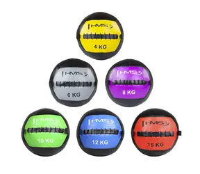 HMS WLB15 Wandball 15 kg