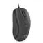 Natec Hoopoe 2 schwarz / Kabelgebundene optische Maus / 1600 DPI / USB-A / 4 Tasten