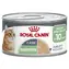 Royal Canin Digestive Care Airlift / Beutel für Katzen / 85 g / Verdauungsunterstützung