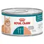 Royal Canin Ageing 11+ Mousse / Nassfutter für Katzen / 85 g / ab 11 Jahren