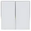 Immax NEO SMART Aria 2-Tasten-/Schalter-/WLAN-/230V-/TUYA-System