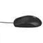 Natec Ruff 2 schwarz / Optische Maus / USB-A / 1000 DPI / 3 Tasten