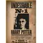 Daumen UP! Puzzle Harry Potter - Gesucht Nr. 1 / 50 Teile / für Erwachsene und Kinder