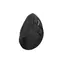 Natec Euphonie Pro schwarz / Vertikale kabellose Maus / 2,4 GHz + Bluetooth / 4000 DPI / 9 Tasten / OLED-Display