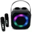 Soundmaster BT2024SW / Karaoke-Lautsprecher / 5 W / Bluetooth / Discolicht / USB-C / 2x drahtloses Mikrofon