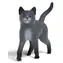 Schleich Tierkarajan / Schule der magischen Tiere / Katze / schwarz / ab 3 Jahren