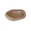 TRIXIE Terrariumschale Regenwald / Schale / 15 x 3,5 x 12 cm