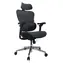Ergonomischer Bürostuhl Equip Blau/Schwarz / Bürostuhl / Kopfstütze / Netzgewebe / Belastbarkeit 150 kg