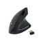 Ergonomische kabellose Maus von Equip , Schwarz / Maus / USB-A Nano-Empfänger / 800-1600 DPI / 5 Tasten