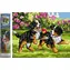 Norimpex Diamantmalerei Verspielte Welpen / 30x40 cm